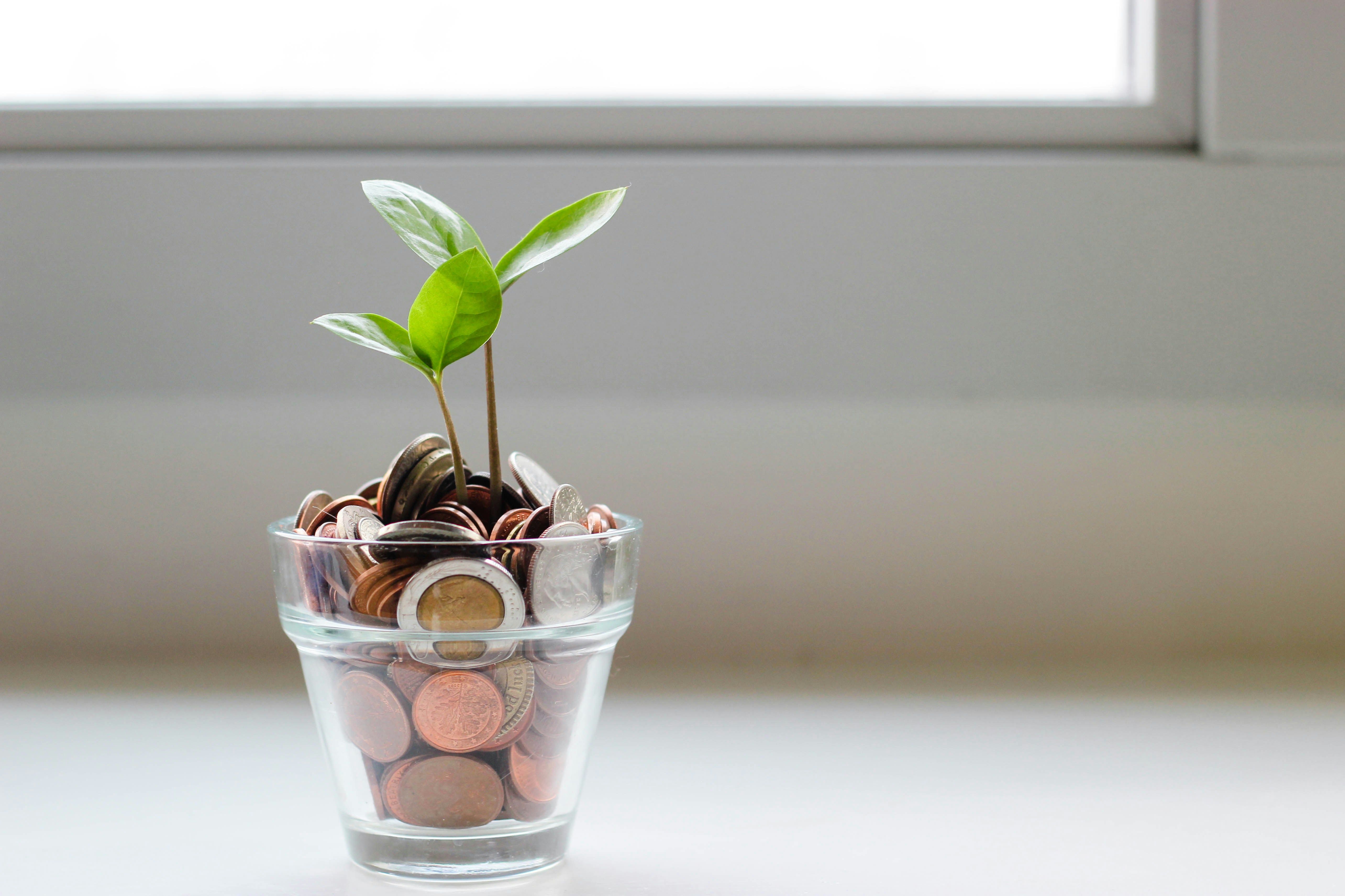 Financial Independence in Your 20s Is Tough—Here’s How to Make It Easier